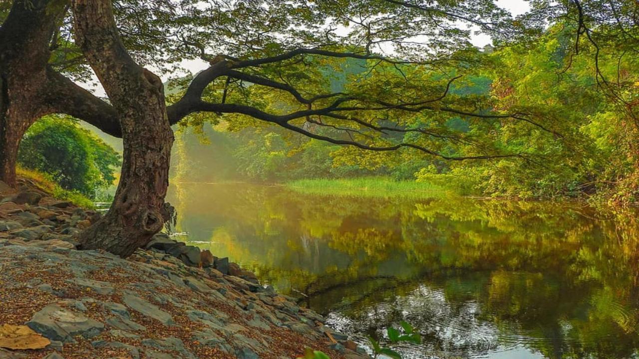 ホリデイ イン ムンバイ インターナショナル エアポート エクステリア 写真 View of the river from the park